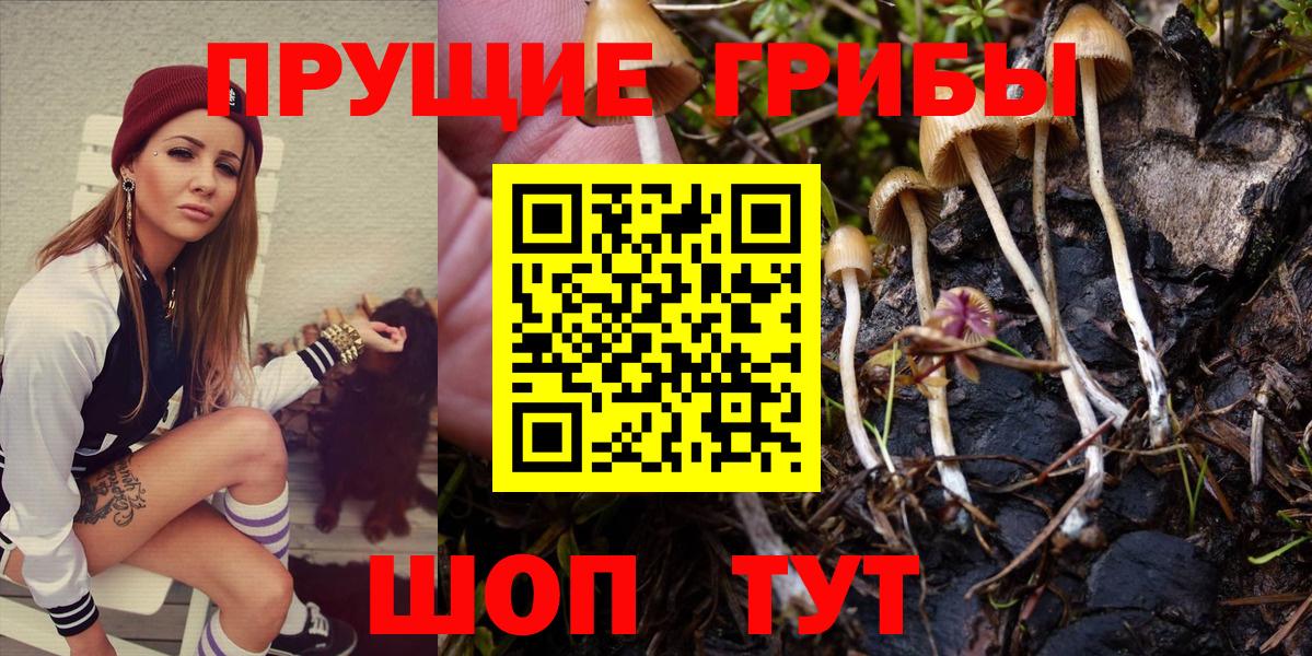 Псилоцибиновые грибы прущие грибы Калуга