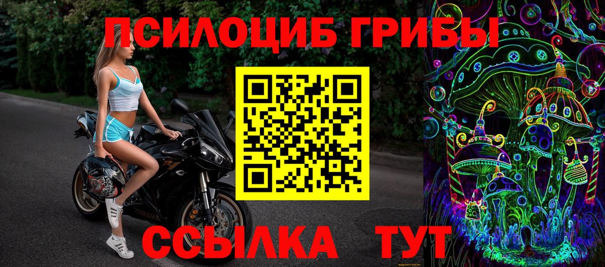Калуга  Галлюциногенные грибы мицелий  Вход с VPN  Галлюциногенные грибы ЛСД 